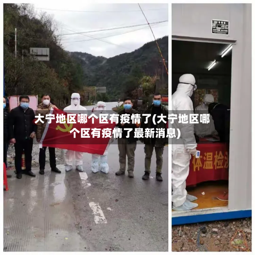 大宁地区哪个区有疫情了(大宁地区哪个区有疫情了最新消息)-第1张图片