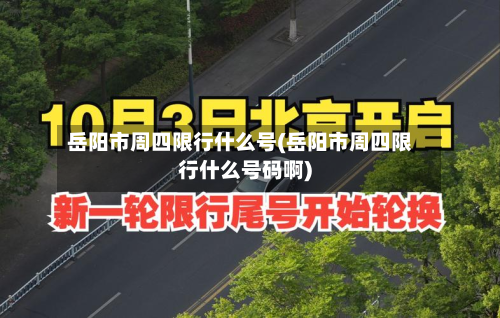 岳阳市周四限行什么号(岳阳市周四限行什么号码啊)-第1张图片