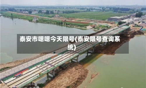 泰安市嗯嗯今天限号(泰安限号查询系统)-第1张图片