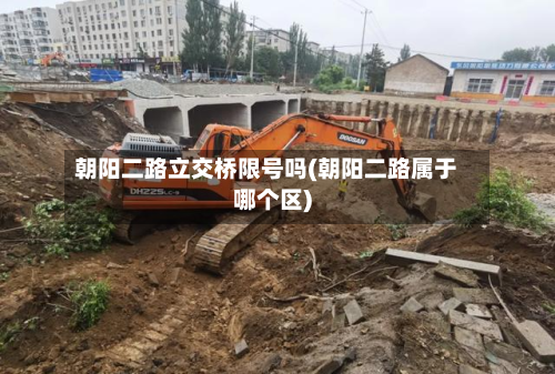 朝阳二路立交桥限号吗(朝阳二路属于哪个区)-第1张图片