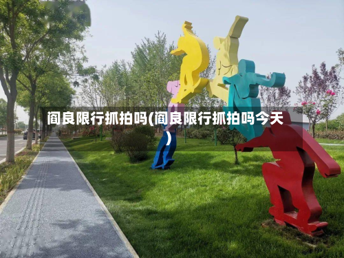 阎良限行抓拍吗(阎良限行抓拍吗今天)-第1张图片