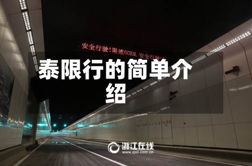泰限行的简单介绍-第1张图片