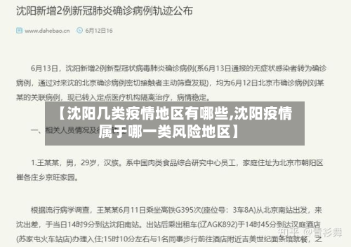 【沈阳几类疫情地区有哪些,沈阳疫情属于哪一类风险地区】-第1张图片