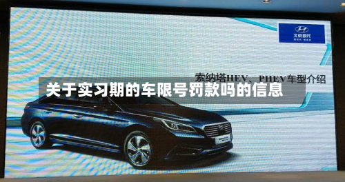 关于实习期的车限号罚款吗的信息-第1张图片