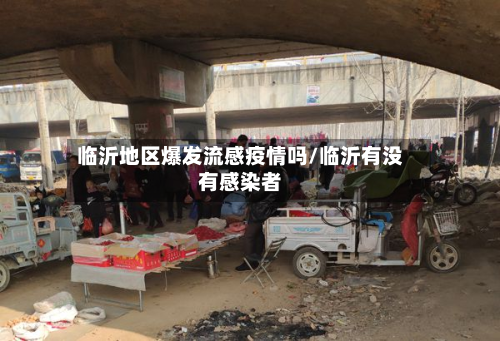 临沂地区爆发流感疫情吗/临沂有没有感染者-第1张图片