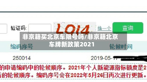 非京籍买北京车限号吗/非京籍北京车牌新政策2021-第1张图片