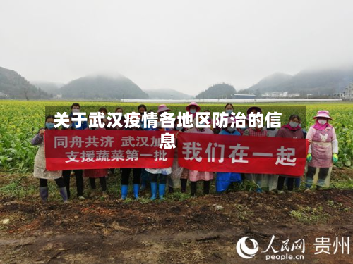 关于武汉疫情各地区防治的信息-第1张图片