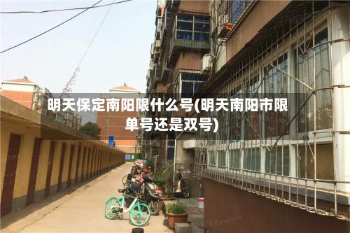 明天保定南阳限什么号(明天南阳市限单号还是双号)-第1张图片