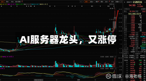AI服务器龙头，又涨停-第3张图片