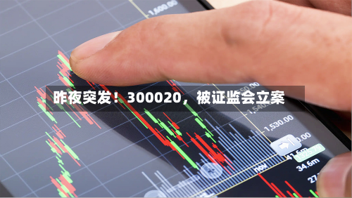 昨夜突发！300020，被 *** 立案
