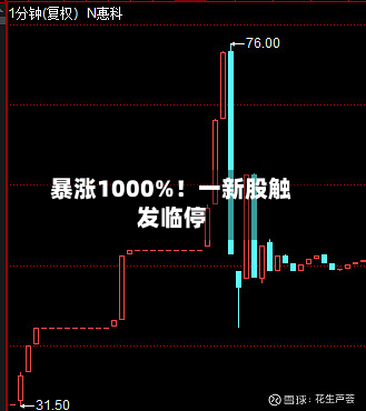 暴涨1000%!一新股触发临停-第1张图片