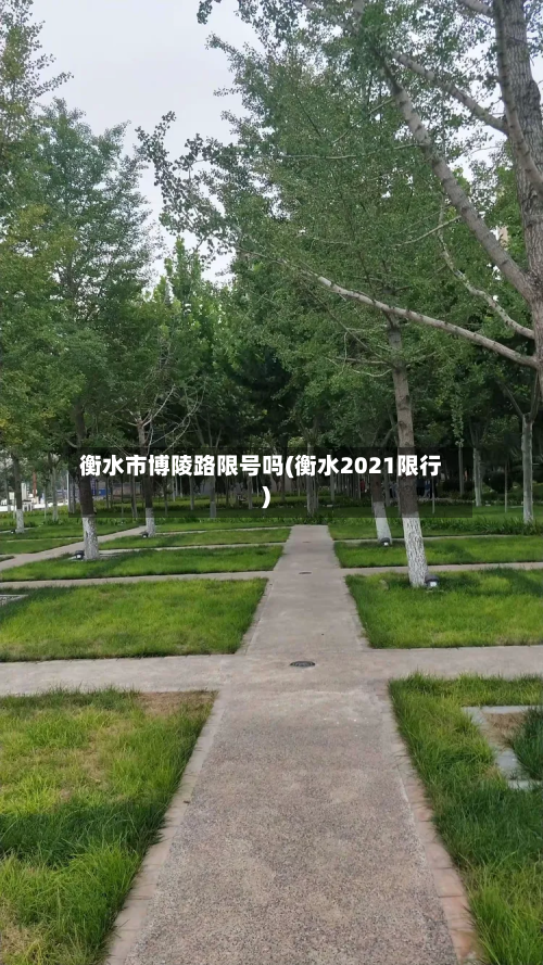 衡水市博陵路限号吗(衡水2021限行)-第1张图片