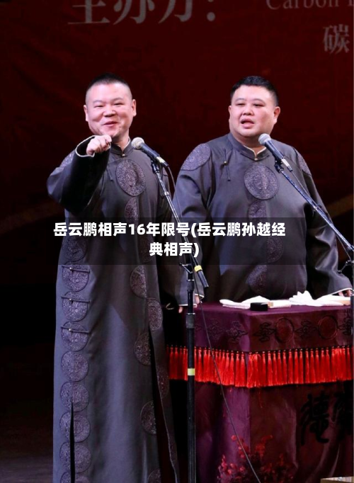 岳云鹏相声16年限号(岳云鹏孙越经典相声)-第1张图片