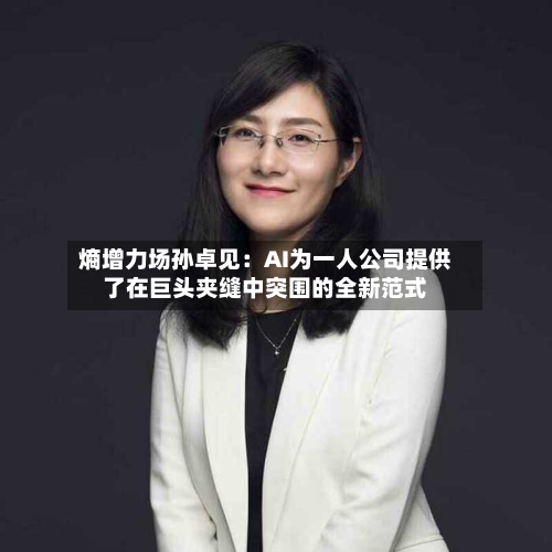 熵增力场孙卓见:AI为一人公司提供了在巨头夹缝中突围的全新范式-第1张图片