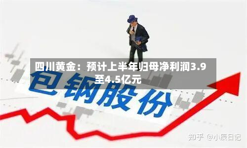 四川黄金:预计上半年归母净利润3.9至4.5亿元-第3张图片