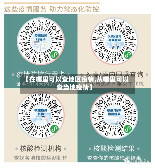 【在哪里可以查地区疫情,从哪里可以查当地疫情】-第1张图片
