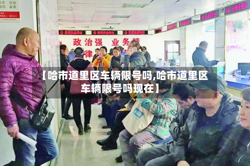 【哈市道里区车辆限号吗,哈市道里区车辆限号吗现在】-第1张图片