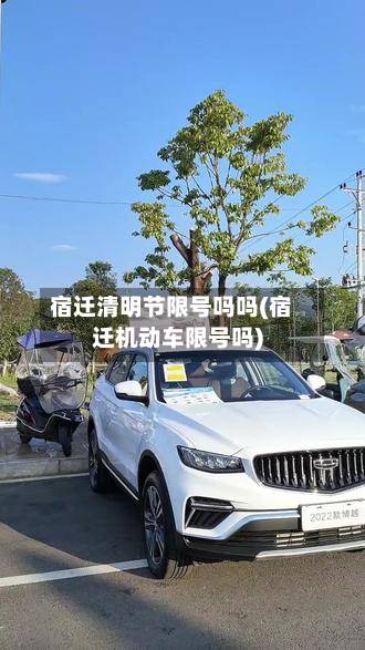 宿迁清明节限号吗吗(宿迁机动车限号吗)-第1张图片