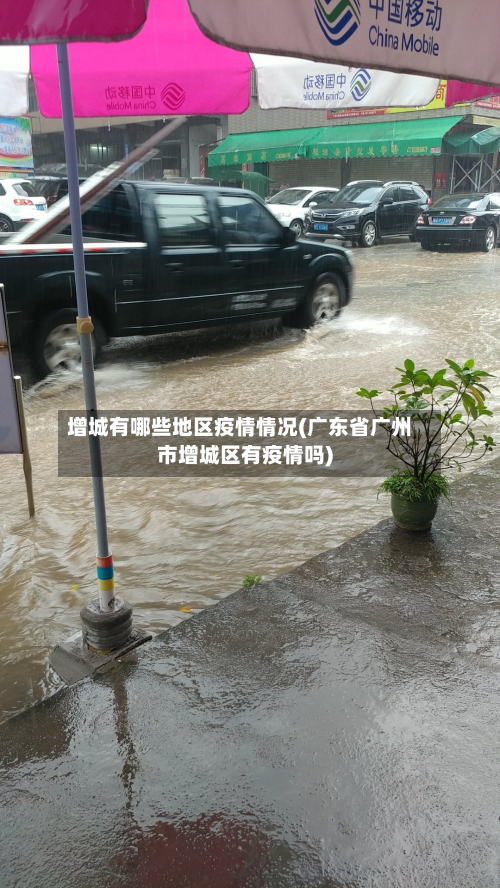 增城有哪些地区疫情情况(广东省广州市增城区有疫情吗)-第1张图片