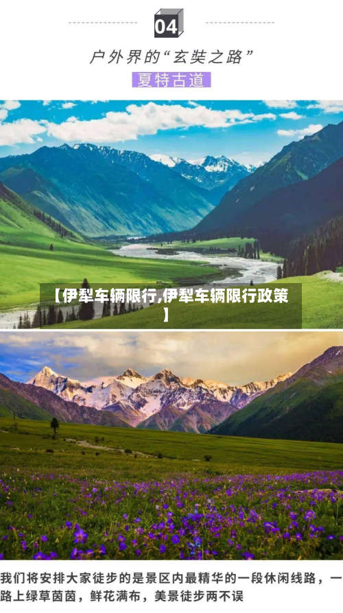 【伊犁车辆限行,伊犁车辆限行政策】-第1张图片