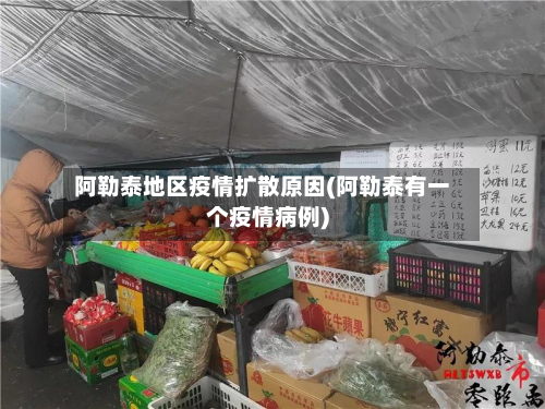 阿勒泰地区疫情扩散原因(阿勒泰有一个疫情病例)-第1张图片