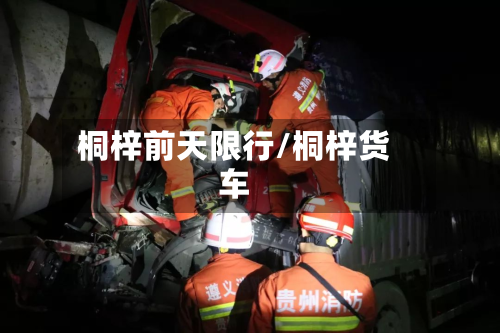 桐梓前天限行/桐梓货车-第1张图片