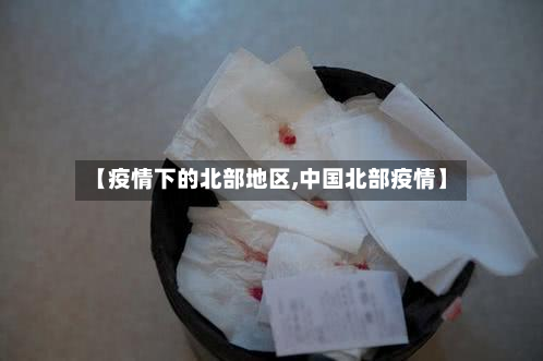 【疫情下的北部地区,中国北部疫情】-第1张图片