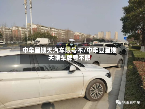 中牟星期天汽车限号不/中牟县星期天限车牌号不限-第1张图片