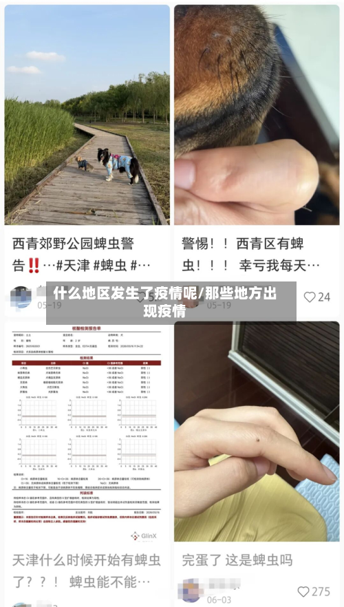 什么地区发生了疫情呢/那些地方出现疫情-第1张图片