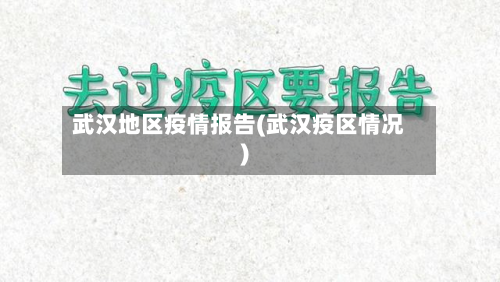 武汉地区疫情报告(武汉疫区情况)-第1张图片