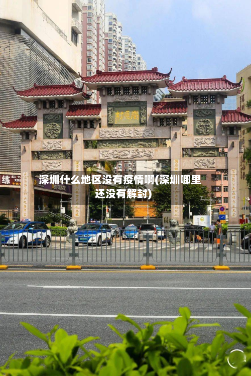 深圳什么地区没有疫情啊(深圳哪里还没有解封)-第1张图片