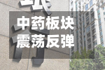 中药板块震荡反弹 片仔癀逼近涨停-第1张图片