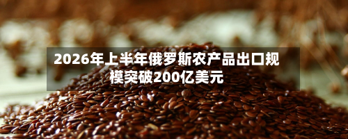 2026年上半年俄罗斯农产品出口规模突破200亿美元-第1张图片