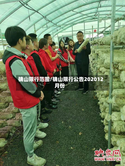 确山限行范围/确山限行公告202012月份-第1张图片