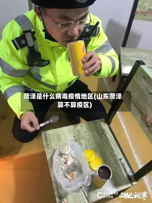 菏泽是什么病毒疫情地区(山东菏泽算不算疫区)-第1张图片