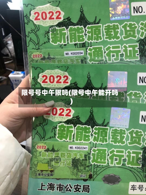 限号号中午限吗(限号中午能开吗)-第1张图片