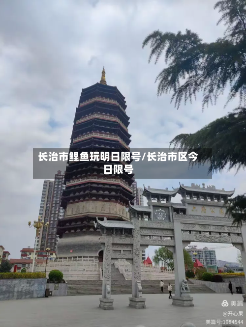 长治市鲤鱼玩明日限号/长治市区今日限号-第1张图片