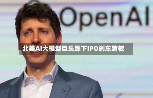 北美AI大模型巨头踩下IPO刹车踏板-第1张图片