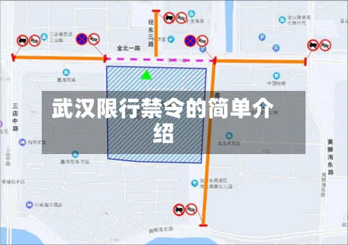 武汉限行禁令的简单介绍-第1张图片