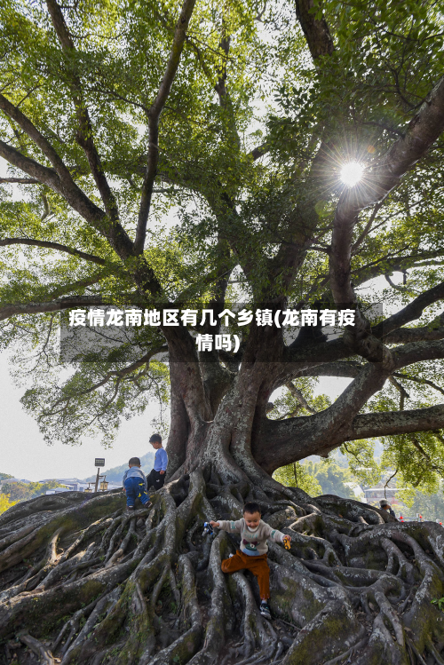 疫情龙南地区有几个乡镇(龙南有疫情吗)-第1张图片