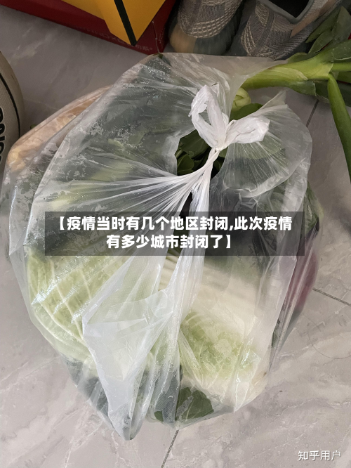 【疫情当时有几个地区封闭,此次疫情有多少城市封闭了】-第1张图片