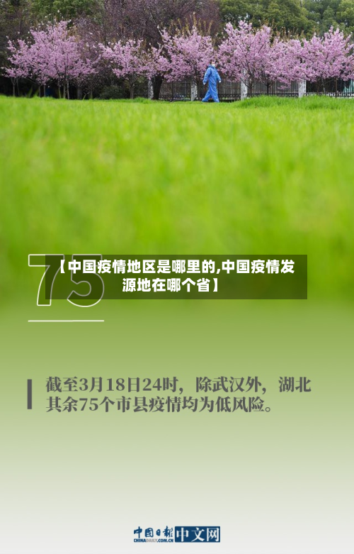 【中国疫情地区是哪里的,中国疫情发源地在哪个省】-第1张图片