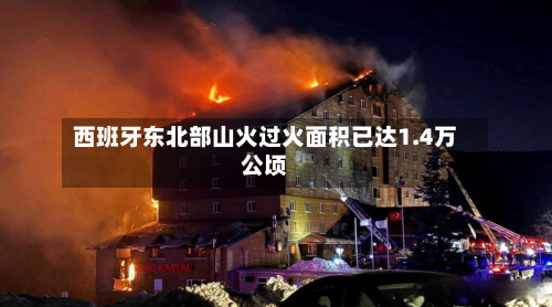 西班牙东北部山火过火面积已达1.4万公顷-第1张图片