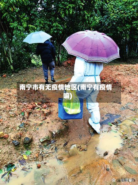 南宁市有无疫情地区(南宁有疫情嘛)-第1张图片