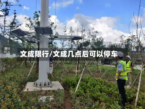 文成限行/文成几点后可以停车-第1张图片
