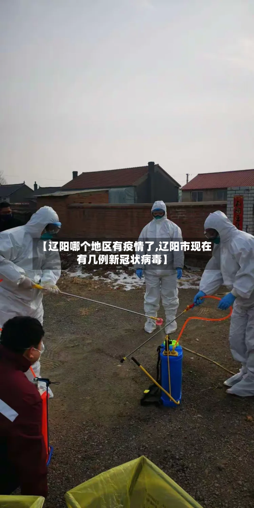 【辽阳哪个地区有疫情了,辽阳市现在有几例新冠状病毒】-第1张图片