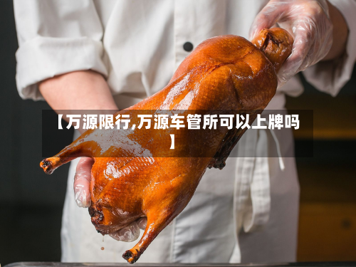 【万源限行,万源车管所可以上牌吗】-第1张图片