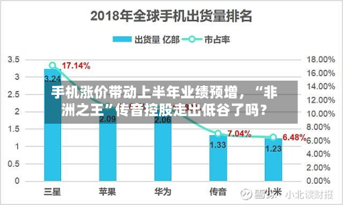 手机涨价带动上半年业绩预增，“非洲之王	”传音控股走出低谷了吗？-第3张图片