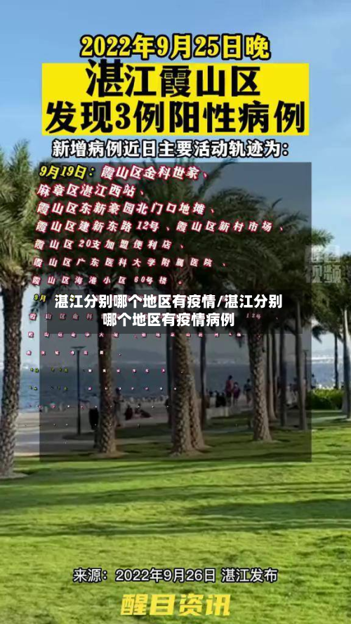 湛江分别哪个地区有疫情/湛江分别哪个地区有疫情病例-第1张图片