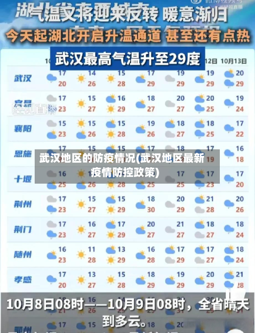 武汉地区的防疫情况(武汉地区最新疫情防控政策)-第1张图片